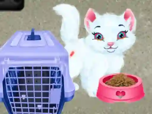 Mäng Baby Taylor Pet Care Internetis