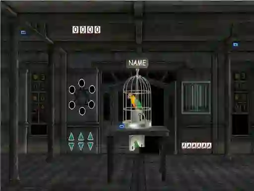 Mäng Parrots Escape Internetis
