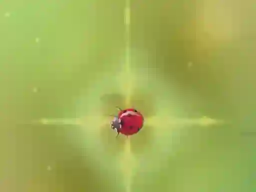 Mäng Pest Control Internetis