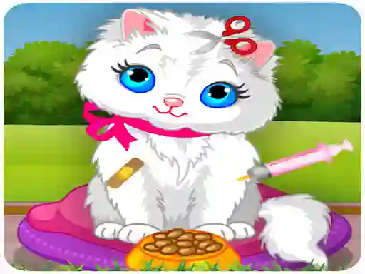 Mäng Vet Cat Clinic Internetis