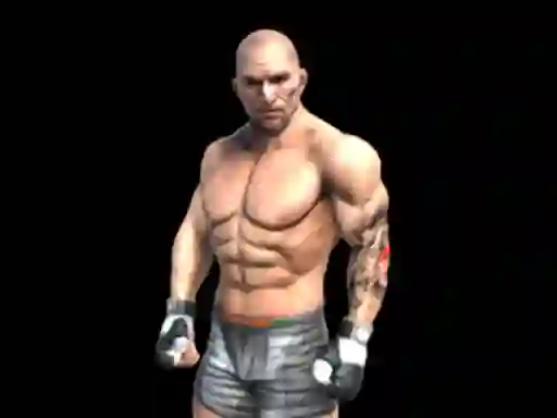 Mäng Fight Arena Online Internetis