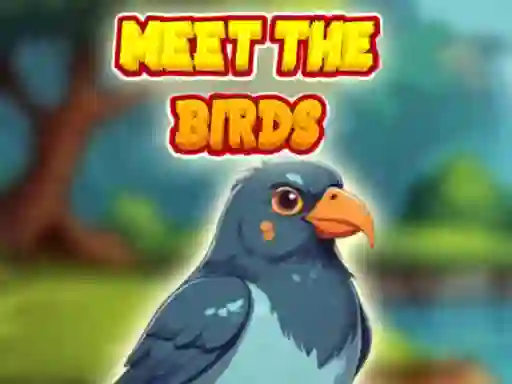 Mäng Meet The Birds Internetis