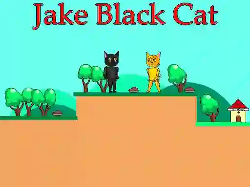 Mäng Jake Black Cat Internetis