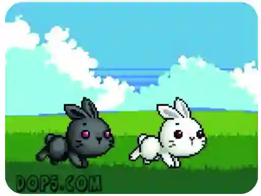 Mäng Cute Rabbit Internetis