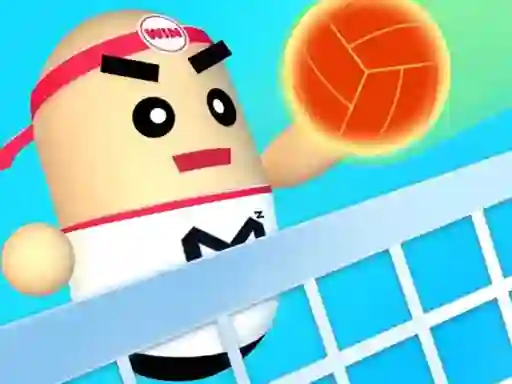 Mäng 3D Amazing VolleyBall Internetis