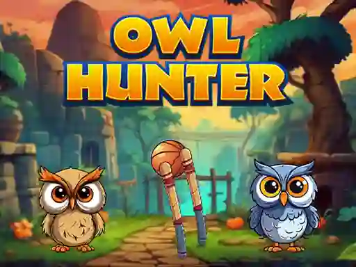 Mäng Owl Hunter Internetis