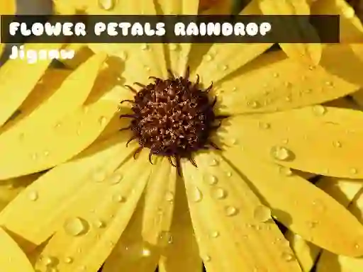 Mäng Flower Petals Raindrop Jigsaw Internetis