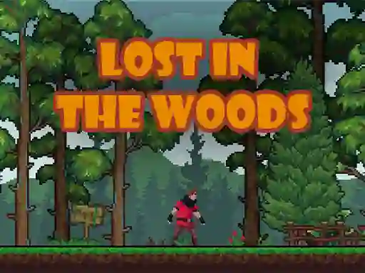 Mäng Lost in the Woods Internetis