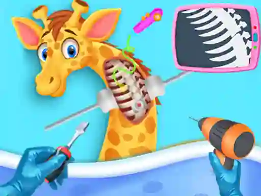 Mäng My Pet Vet Hospital Internetis