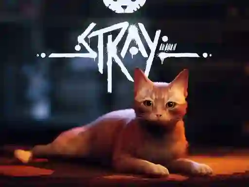 Mäng Stray Internetis