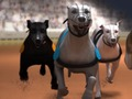 Mäng Hurt Racing  Internetis