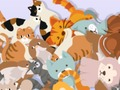 Mäng Leia Kitty  Internetis