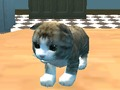 Mäng Kassi simulaator: Kitty Craft!  Internetis