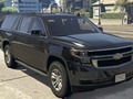 Mäng Chevrolet'i linnalähedased erinevused  Internetis