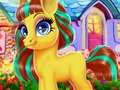 Mäng Õnnelik poni  Internetis