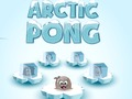 Mäng Arktika pong  Internetis