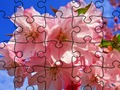Mäng Jigsaw Puzzle: lilled  Internetis