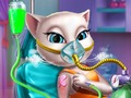 Mäng Kitty missiooniõnnetus er  Internetis