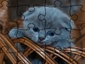 Mäng Jigsaw Puzzle: kassid  Internetis