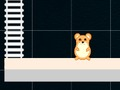 Mäng Nutikas hamster: paaris ja paaritu  Internetis
