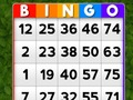 Mäng Bingo Internetis