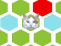 Mäng Trap Cat  Internetis