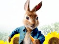 Mäng Peter Rabbit: Häda labürindis  Internetis
