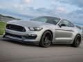 Mäng Mustang Shelby mõistatus  Internetis