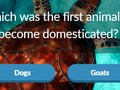 Mäng Loomade trivia  Internetis
