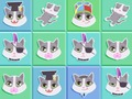 Mäng Kassi lugu 2048  Internetis