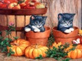 Mäng Halloweeni maalimine  Internetis