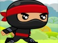 Mäng Ninja Internetis
