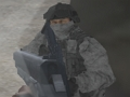 Mäng Terroristivastane tulistamisstreik  Internetis