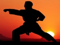 Mäng Karate päikeseloojangu sõdalased  Internetis