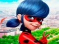 Mäng Jigsaw puzzle kollektsioon LadyBug  Internetis