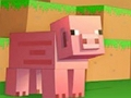 Mäng Minecrafti mõistatuste kollektsioon  Internetis