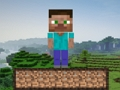 Mäng Minecrafti ellujäämine  Internetis