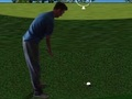 Mäng Flash Golf 3D  Internetis