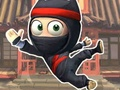 Mäng Super Ninja seiklus  Internetis
