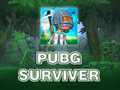 Mäng PUBG ellujääja  Internetis