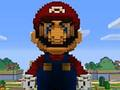 Mäng Minecraft Mario pusle  Internetis