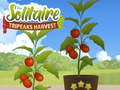 Mäng Solitaire tripaakid saak Internetis