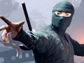 Mäng Puudutage valikut Ninja  Internetis