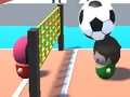 Mäng Volley kalmaarimängija  Internetis