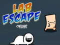 Mäng Lab Escape võrgus  Internetis