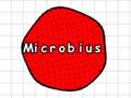 Mäng Mikroobius  Internetis