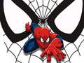 Mäng Spidermani mängukaardid  Internetis