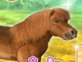 Mäng Mu kallis poni  Internetis