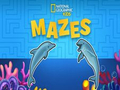 Mäng Nat Geo Kids Lazes Internetis