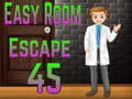 Mäng Amgel Easy Room Escape 45 Internetis